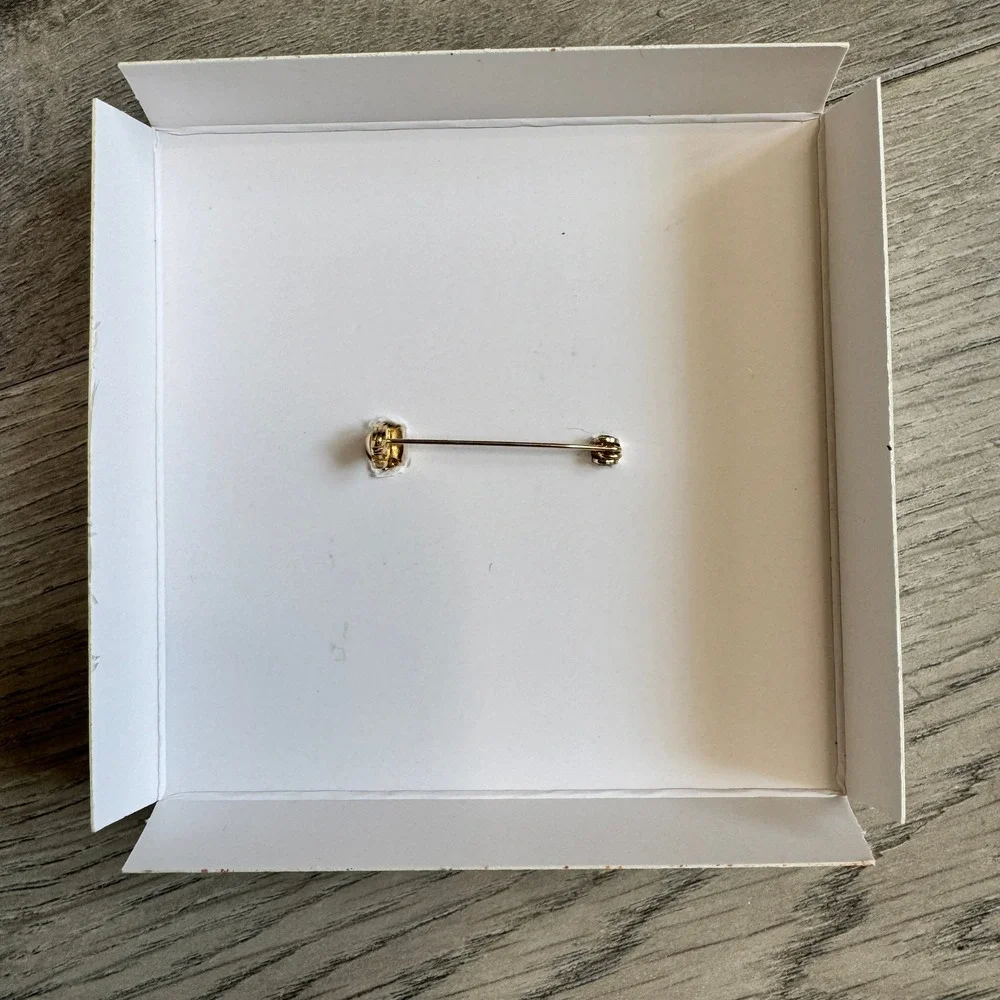 BaubleBar Teachers Pet Red Glitter Apple Brooch Pin Gold Tone Teacher Gift Boxed